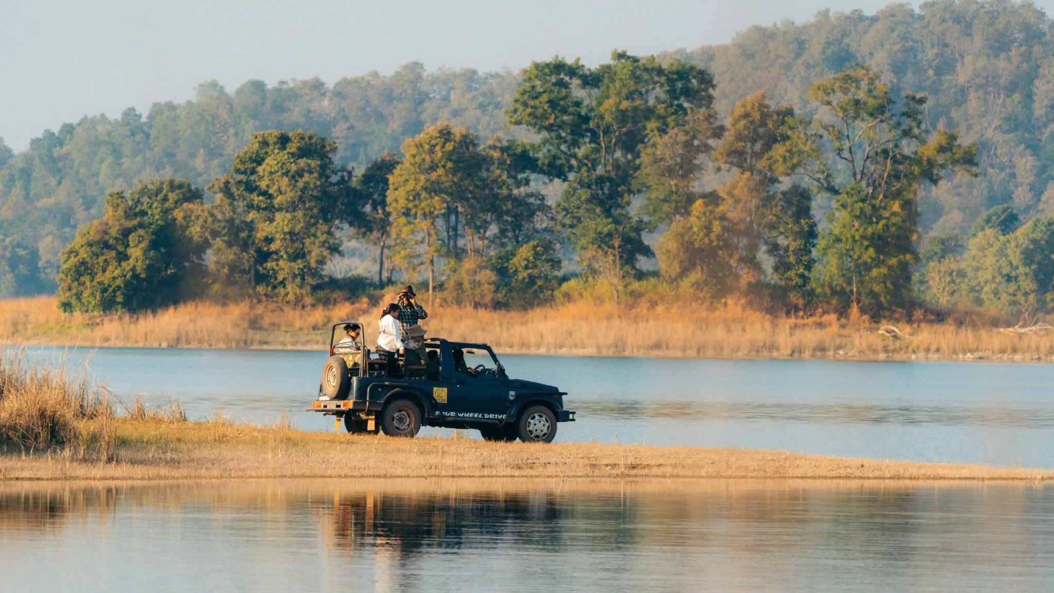 Ranthambore safari