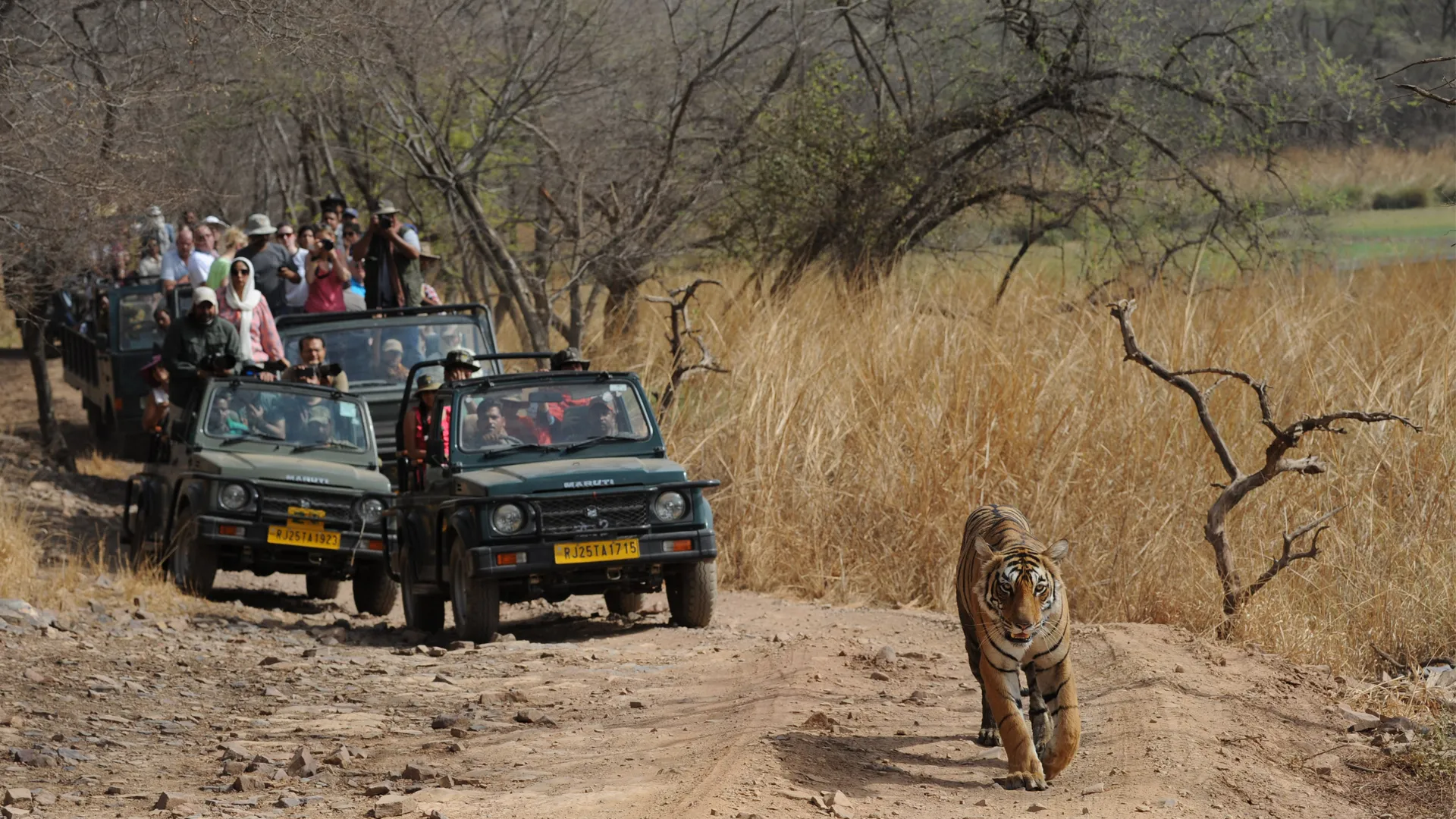 Ranthambore National Park, Ranthambore